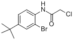 N1-[2-BROMO-4-(TERT-부틸)페닐]-2-클로로아세트아미드