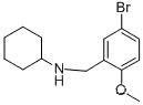 N-(5-브로모-2-메톡시벤질)시클로헥산아민