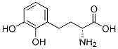 벤젠부탄산, 알파-아미노-2,3-디하이드록시-, (alphaR)-(9CI)