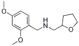 (2,4-디메톡시-벤질)-(테트라히드로-푸란-2-일-메틸)-아민