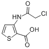 3-[(2-클로로아세틸)아미노]티오펜-2-카르복실산