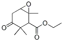 4-옥소-1,3,3-트리메틸-7-옥사비시클로[4.1.0]헵탄-2-카르복실산 에틸 에스테르