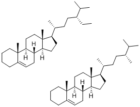 24R-METHYLCHOLEST-5-ENE 및 24R-ETHYLCHOLEST-5-ENE