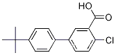 2-클로로-5-(4-t-부틸페닐)벤조산