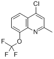 4-클로로-2-메틸-8-트리플루오로메톡시퀴놀린