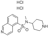 이소퀴놀린-5-술폰산-N-메틸-(피페리딘-4-일)-아미드 이염산염