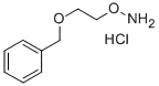 O-(2-벤질옥시-에틸)-히드록실아민 염산염