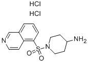 1-(이소퀴놀린-5-술포닐)-피페리딘-4-일아민 디히드로클로라이드