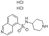이소퀴놀린-5-술폰산 피페리딘-4-일아미드 디히드로클로라이드