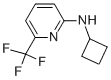 시클로부틸-(6-트리플루오로메틸-피리딘-2-일)-아민