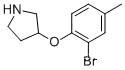 3-(2-브로모-4-메틸페녹시)피롤리딘