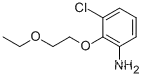 3-클로로-2-(2-에톡시에톡시)아닐린