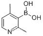 2,4-디메틸피리딘-3-붕소산