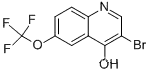 3-브로모-4-하이드록시-6-트리플루오로메톡시퀴놀린