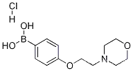 4-(2-모르폴리노에톡시)페닐보론산, HCl