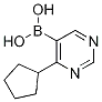 4-시클로펜틸피리미딘-5-붕소산