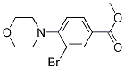 메틸 3-브로모-4-모폴리노벤조에이트