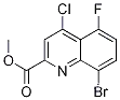 메틸8-브로모-4-클로로-5-플루오로퀴놀린-2-카르복실레이트