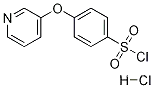 4-(3-피리딜옥시)벤젠설포닐 클로라이드 염산염, 97%