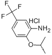 2-이소프로폭시-5-트리플루오로메틸-페닐아민염화물
