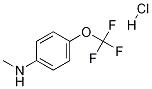 N-메틸-N-[4-(트리플루오로메톡시)페닐]아민 염산염