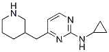 N-사이클로프로필-4-(피페리딘-3-일메틸)피리미딘-2-
내