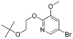 5-broMo-2-(2-tert-부톡시에톡시)-3-메톡시피리딘