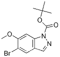 1-Boc-5-broMo-6-메톡시-1H-인다졸