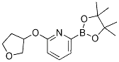6-(TETRAHYDRO-FURAN-3-YLOXY)피리딘-2-보론산 피나콜 에스테르