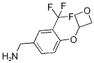 [4-(옥세탄-3-일옥시)-3-(트리플루오로메틸)페닐]메탄아민