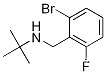 Nt-부틸 2-브로모-6-플루오로벤질라민
