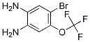 4-브로모-5-(트리플루오로메톡시)-1,2-페닐렌디아민