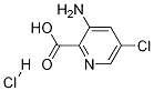 3-아미노-5-클로로피리딘-2-카르복실산 염산염