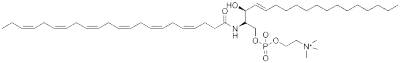 N-Docosa헥사에노익 스핑고미엘린