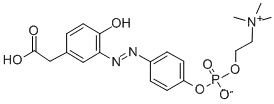 4-하이드록시-3-(p-디아조페닐포스포릴콜린) 페닐아세트산