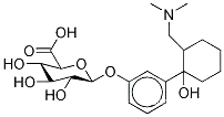 O-데스메틸 트라마돌 β-D-글루쿠로나이드