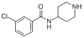 3-클로로-N-피페리딘-4-일-벤자미드