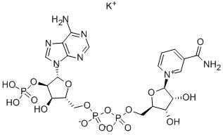 NADP 모노 포타슘 소금