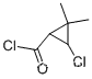 시클로프로판카르보닐 클로라이드, 3-클로로-2,2-디메틸-(9CI)