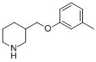 3-[(3-METHYLPHENOXY) METHYL] 피 페리 딘