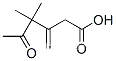 4,4-ジメチル-3-メチレン-5-オキソヘキサン酸