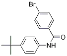 4-브로모-N-(4-tert-부틸페닐)벤즈아미드