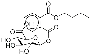 모노부틸 프탈레이트 아실-β-D-글루쿠로나이드