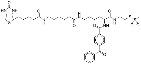 2-[Nα-벤조일벤조이카미도-N6-(6-비오틴아미도카프로일)-L-리시닐아미도]에틸 메탄티오술포네이트