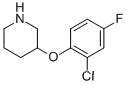 3- (2- 클로로 -4-FLUOROPHENOXY) 피 페리 딘