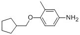 4-(CYCLOPENTYLMETHOXY)-3-메틸라니린