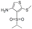 3-아미노-4-(이소프로필술포닐)-5-(메틸티오)티오펜