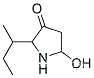 3-피롤리디논, 5-하이드록시-2-(1-메틸프로필)-
