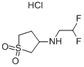 (2,2-디플루오로-에틸)-(1,1-디옥소-테트라히드로티오펜-3-일)-아민