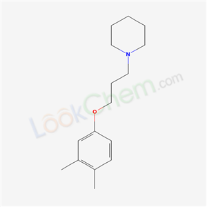 Click to see the large picture